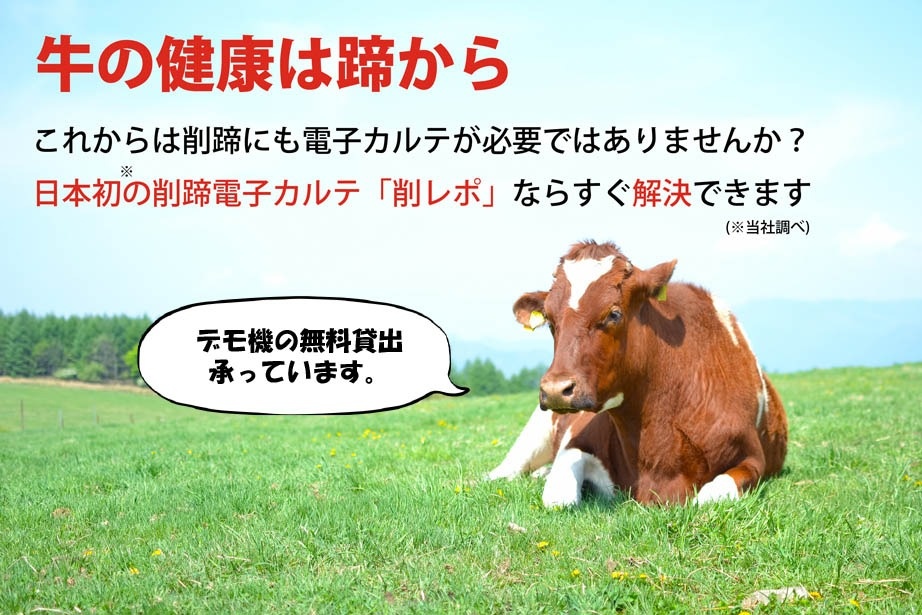 削レポ