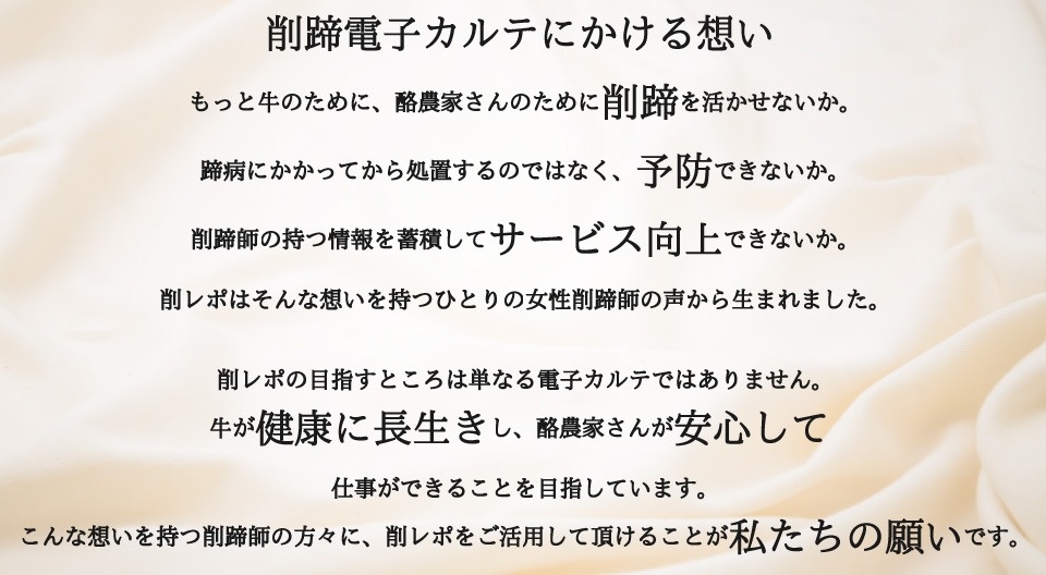 サンプル